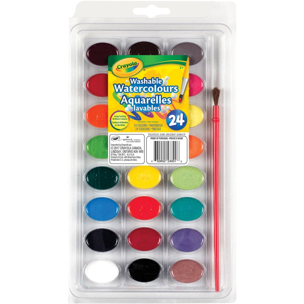 Paint & Brushes